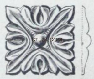 ROSETTE_0826